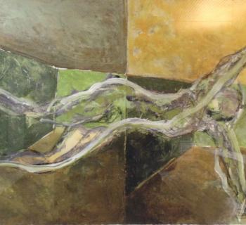 Calderonienrico Nuotatore
